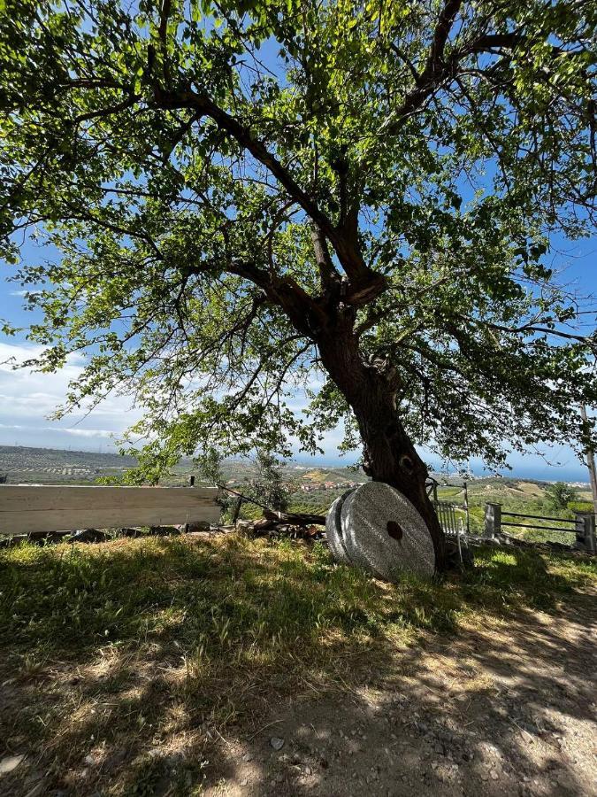 Casa Maria Host Green - Casa Vacanze - Rossano Case San Francesco エクステリア 写真